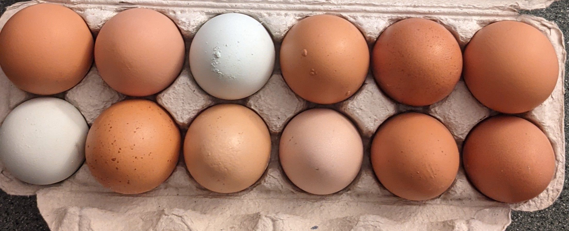 Fresh Free Range Eggs