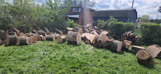 Free wood