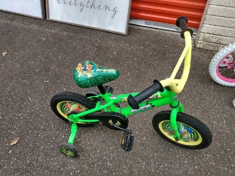 TMNT BIKE