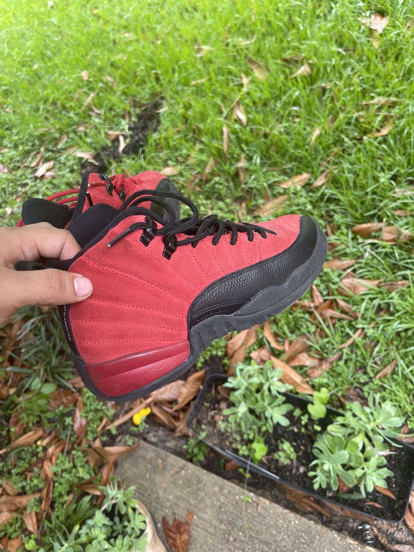 Jordan 12s