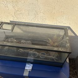 Reptile Tank 