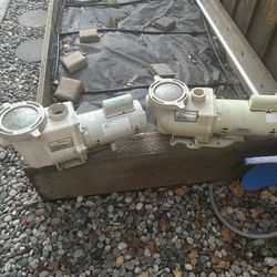2 single speed pool pumps