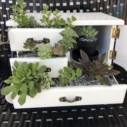 Kevin’s Creations Jewelry Box Garden $35 Unique One Of A Kind Land Park Area Accepting Cash App Zelle And Cash 