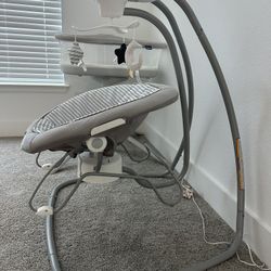 Graco Baby Swing and Bouncer