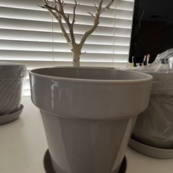 5.5 plastic plant pots with saucers- Grey (4 pack) 