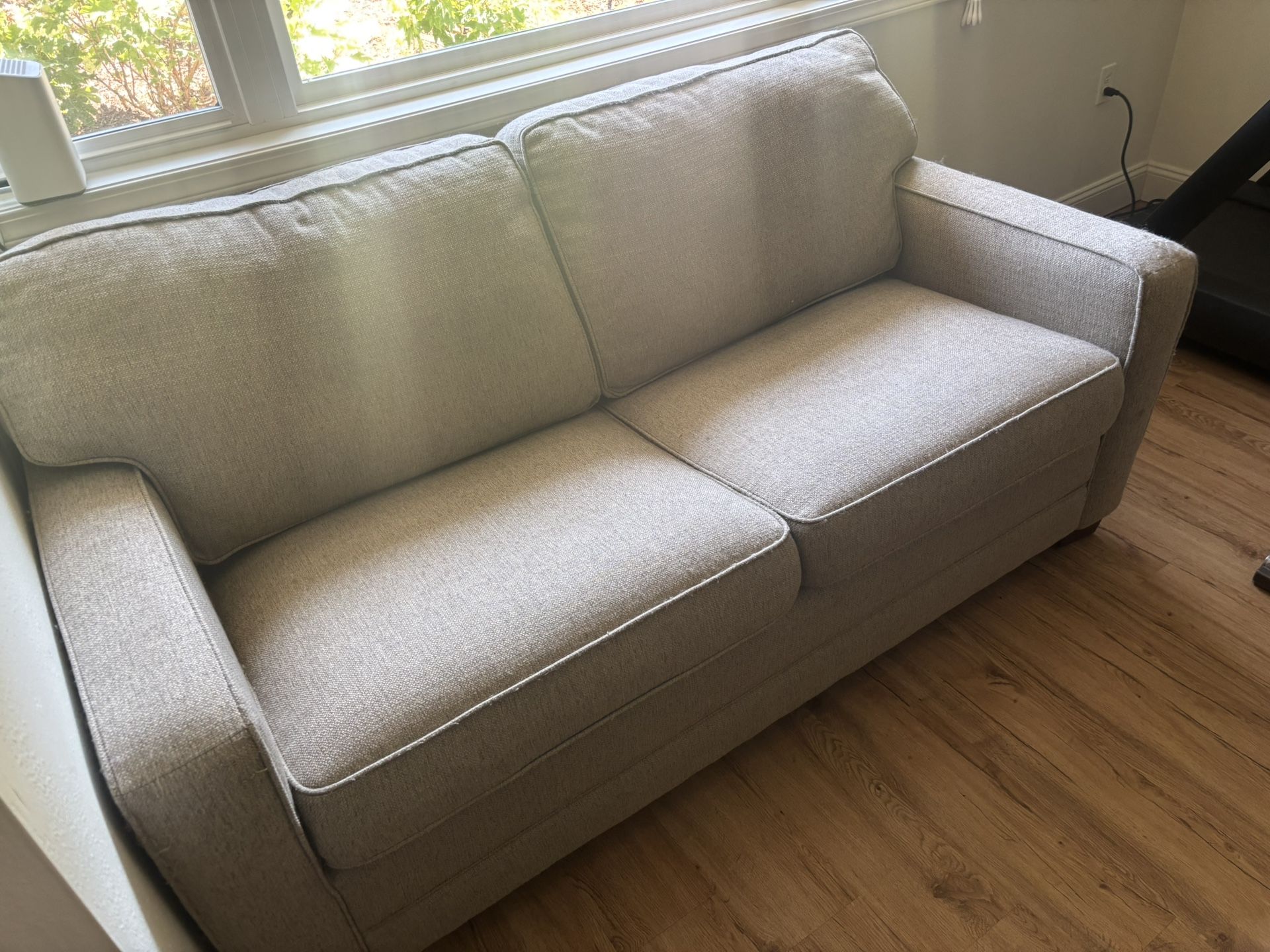 Couch With Hideaway Bed FREE