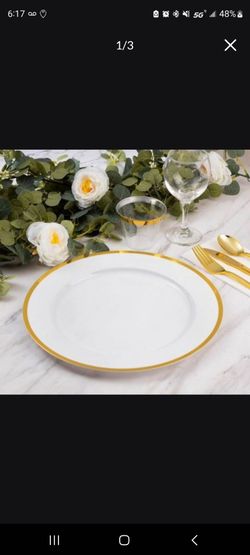 12' Charger plates