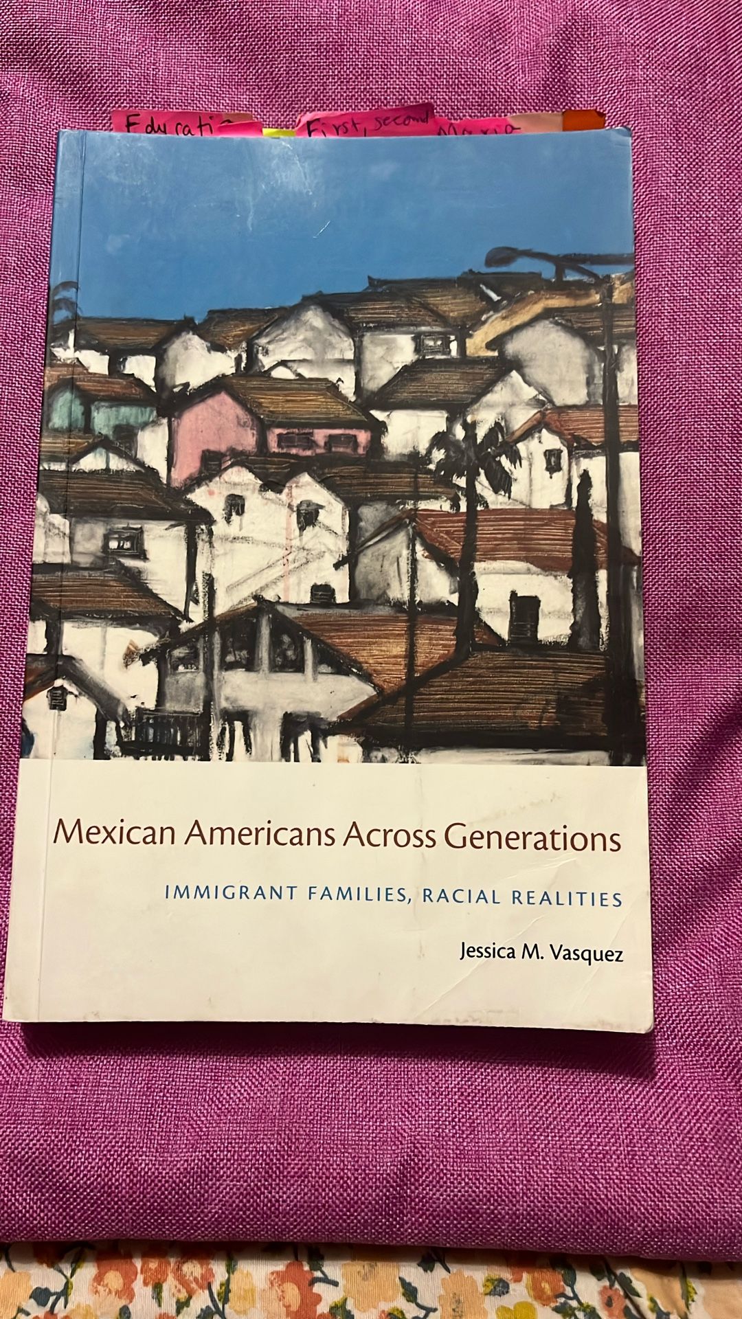 Textbook, Immigrant Families, Racial Realities