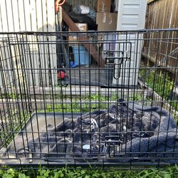 Dog Cage