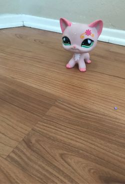 Little pet shop cat