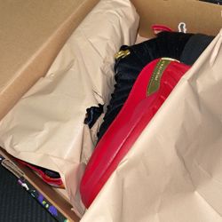 Jordan 12 Superbowls 