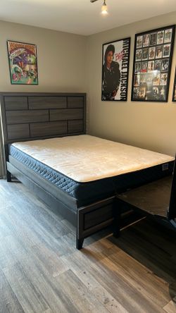 Living Spaces Queen Sized Bed