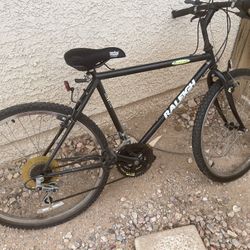 Raleigh Bike 