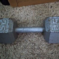 25 Lb Dumbbell 