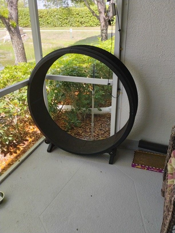 Cat Exerciser