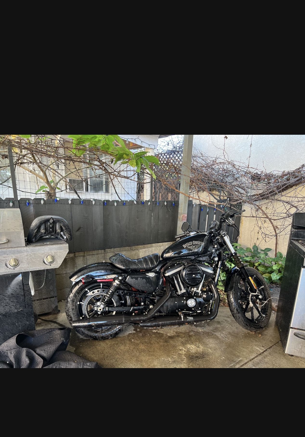 2018 Sportster