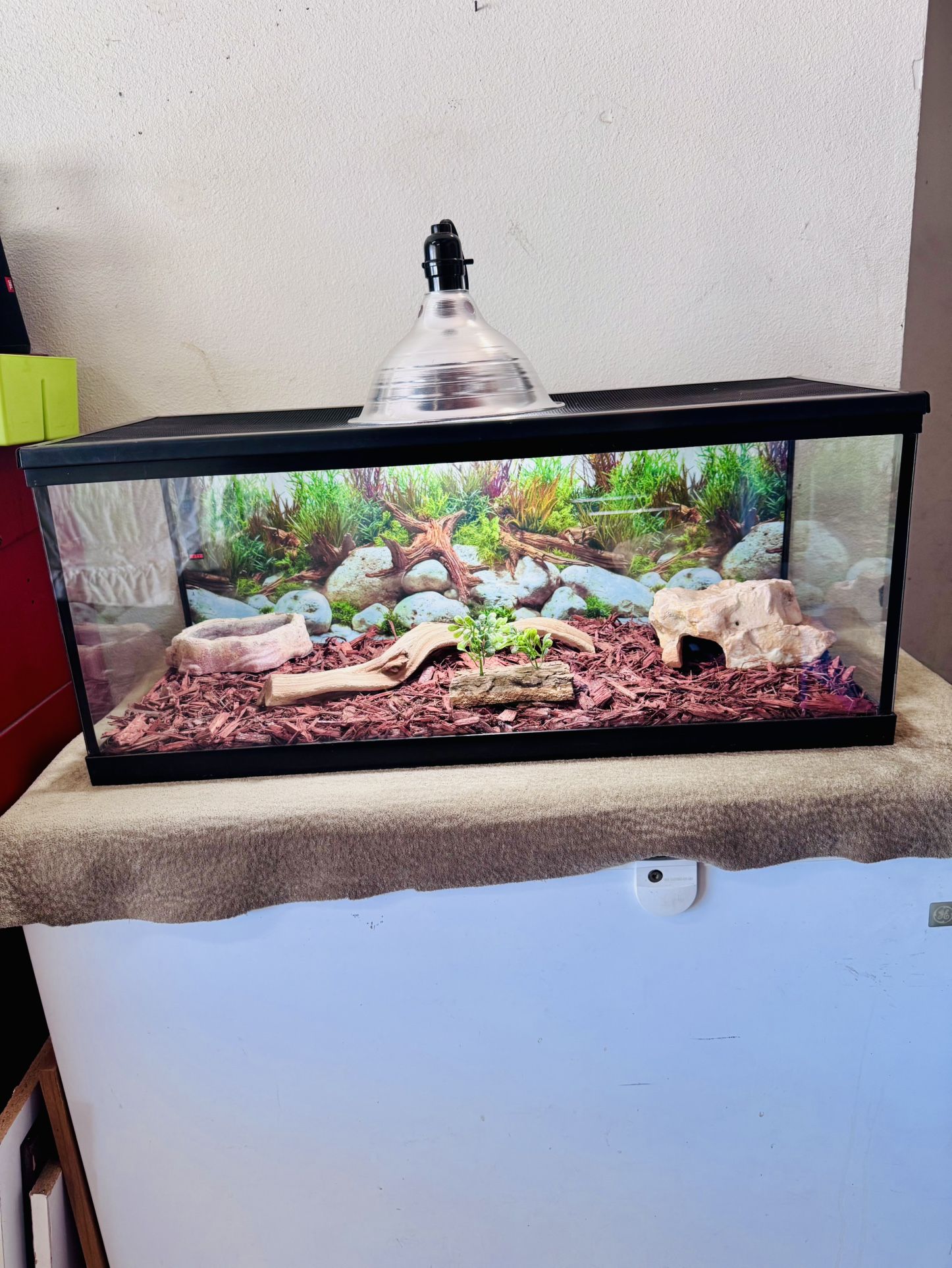 Reptile Tank 20 Gallon