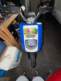 modded zebra