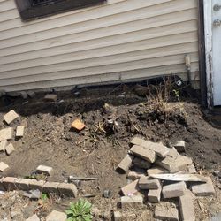 Backyard Cleaning Service