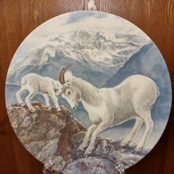 Ram Plate 