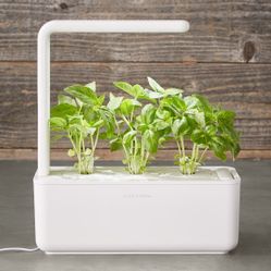 Indoor Smart Garden