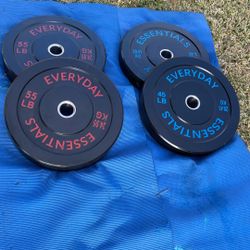 Weights/ Bumper Plates 
