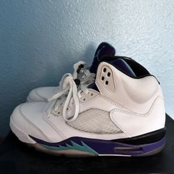 Jordan Grape 5s Size 9