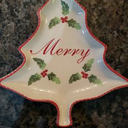 Merry DISH 