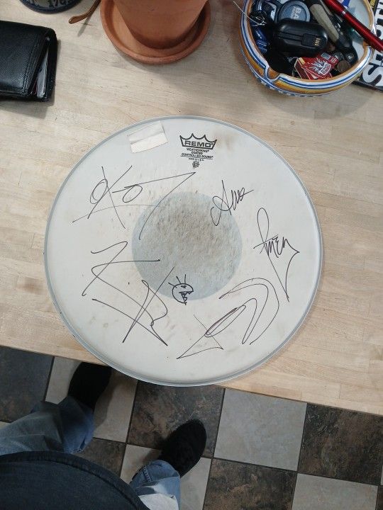 Drum Head