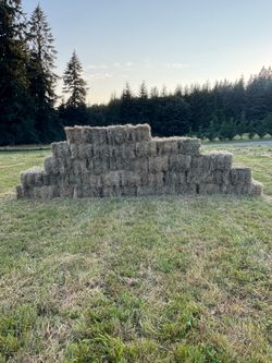 Hay - $7 a bale - free local delivery