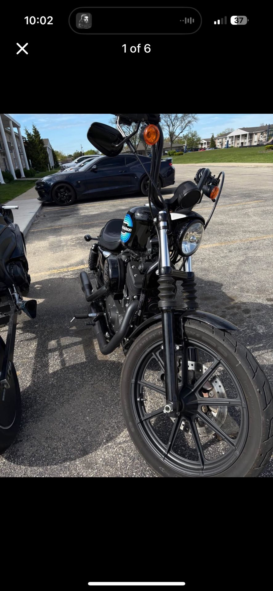 2019 Harley davidson Iron