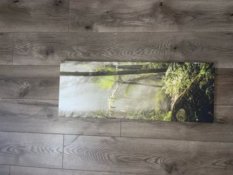 Set of 4 Tropical Jungle Wall Art – $40