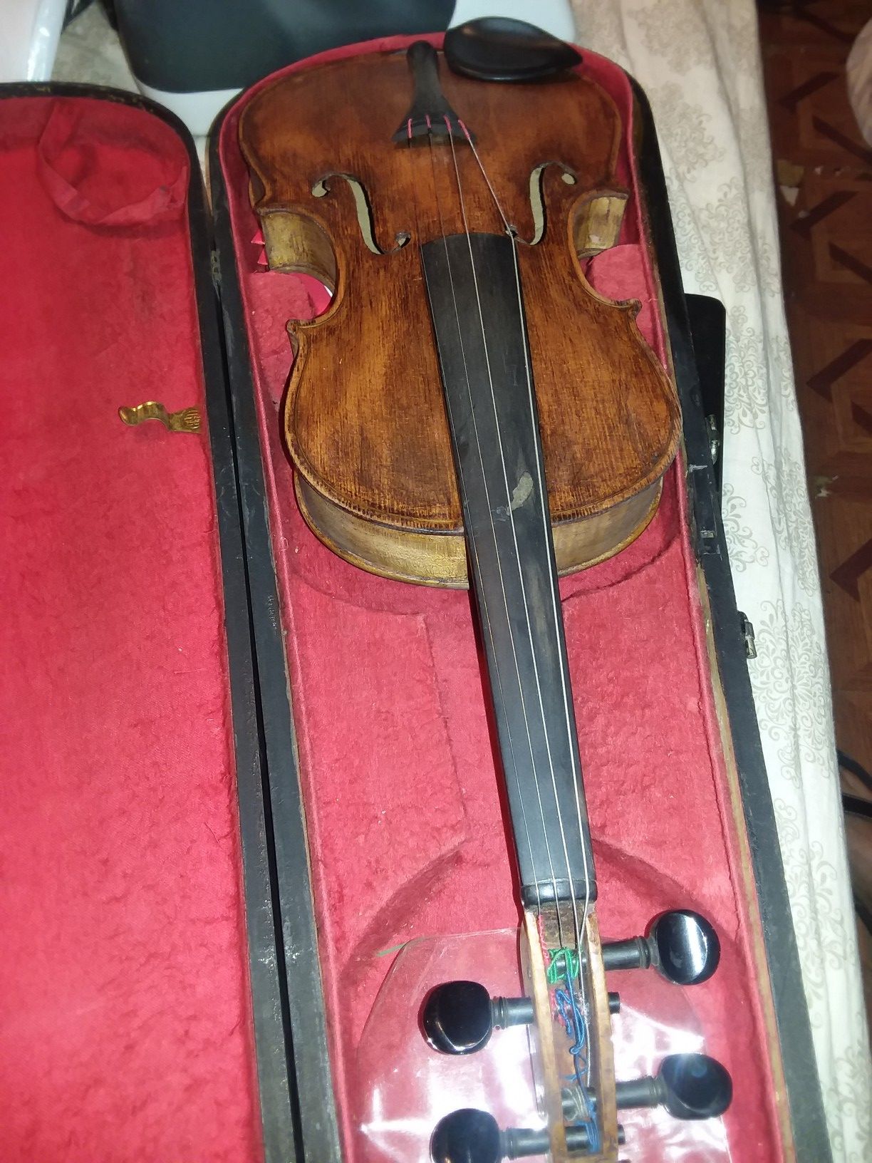 Violin