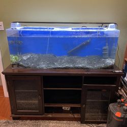 60 Gallon Acrylic Aquarium Complete SetUp