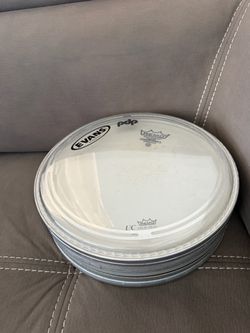 Drums head
