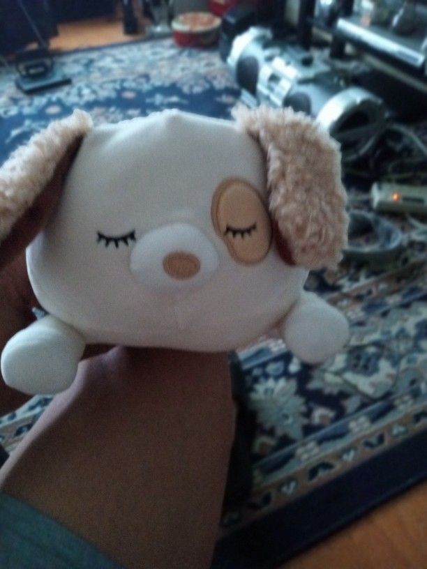 Squishmallow Super Soft and Plush " Harrison The Dog Huymee Laying Down "Toy