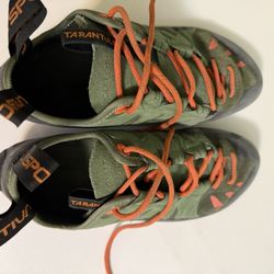Climbing Shoes 