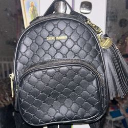 Backpacks /purse 