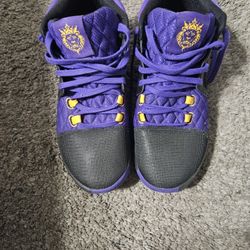 Nike LeBron James Basketball Shoes Size 12