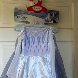 Frozen Elsa Costume Dress Size 3-4