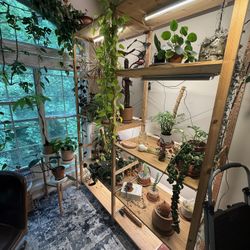 Plant shelf! 