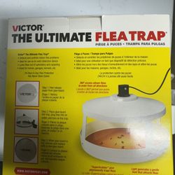 The Ultimate Flea Trap