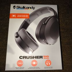 Skullcandy Headphones 