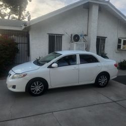 Economic Daily Commuter Driver