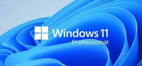 Windows 11 Professional 64BIT DVD Sealed OEM