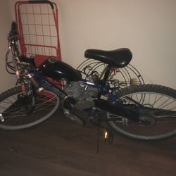 Stingray & Etc Motor Bike 