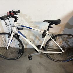 Hybrid Bicycle