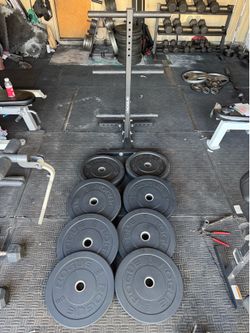 Rogue bumper weights 250lbs total plus rogue weight tree