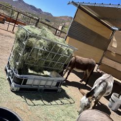Pasture Hay Feeder No Waste 