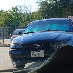  Looking For My 2004 Ford Mustang